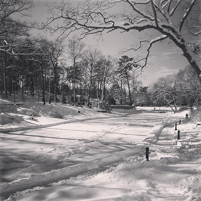 Snow Covered River Way. B&w Ftw Photograph by Jim Spencer