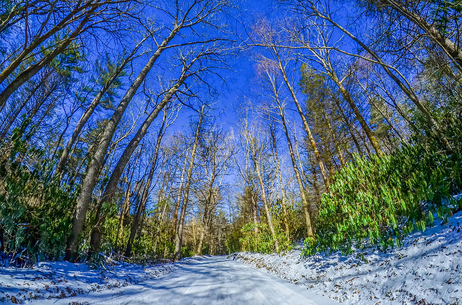 Snow Covered Road Leads Through The Wooded Forest Photograph by Alex Grichenko