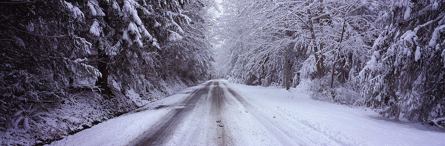 Nature Photograph - Snow Covered Road Passing by Panoramic Images