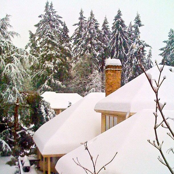 Winter Photograph - Snow Covered Rooftops - Winter in Lake Oswego OR by Anna Porter