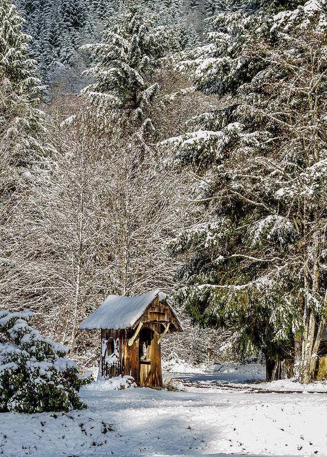 Snow Covered Rustic Shack Photograph by Rob Green