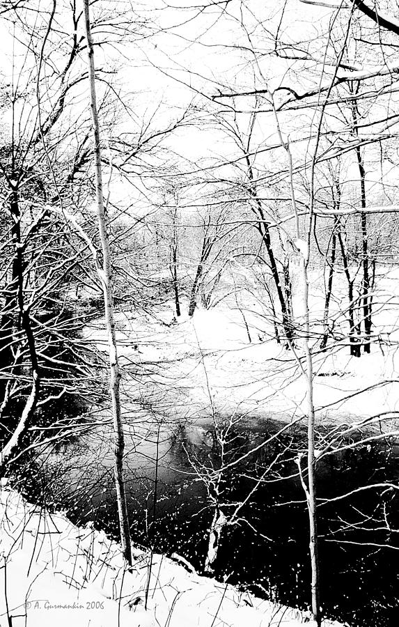 Snow Covered Stream Banks Pennsylvania Photograph by A Macarthur Gurmankin