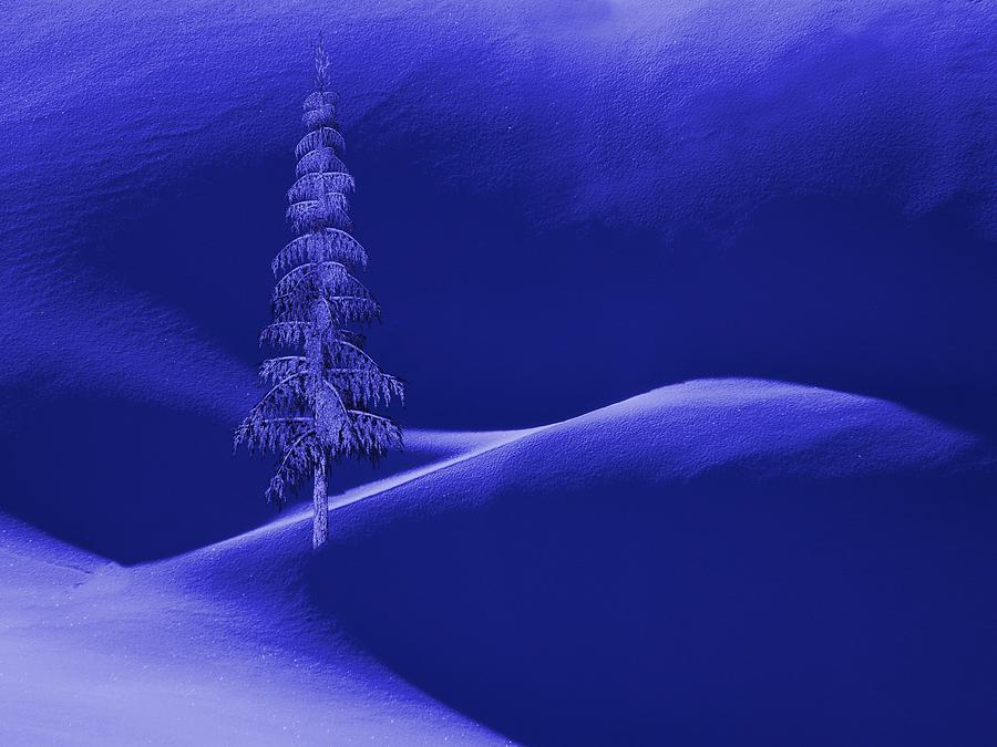 Snow Covered Tree and Mountains Night Digital Art by David Dehner