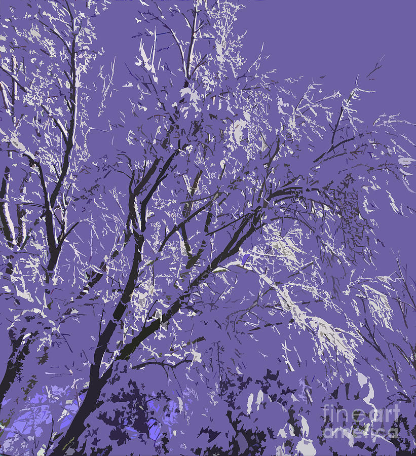 Nature Digital Art - Snow Covered Trees Purple Abstract by Adri Turner