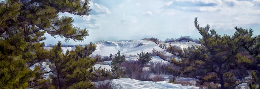 Snow Covered Dunes Photograph by Constantine Gregory
