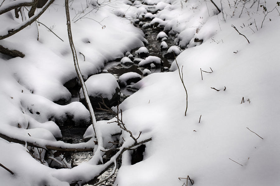 Snow Creek Photograph by Jonas Luis