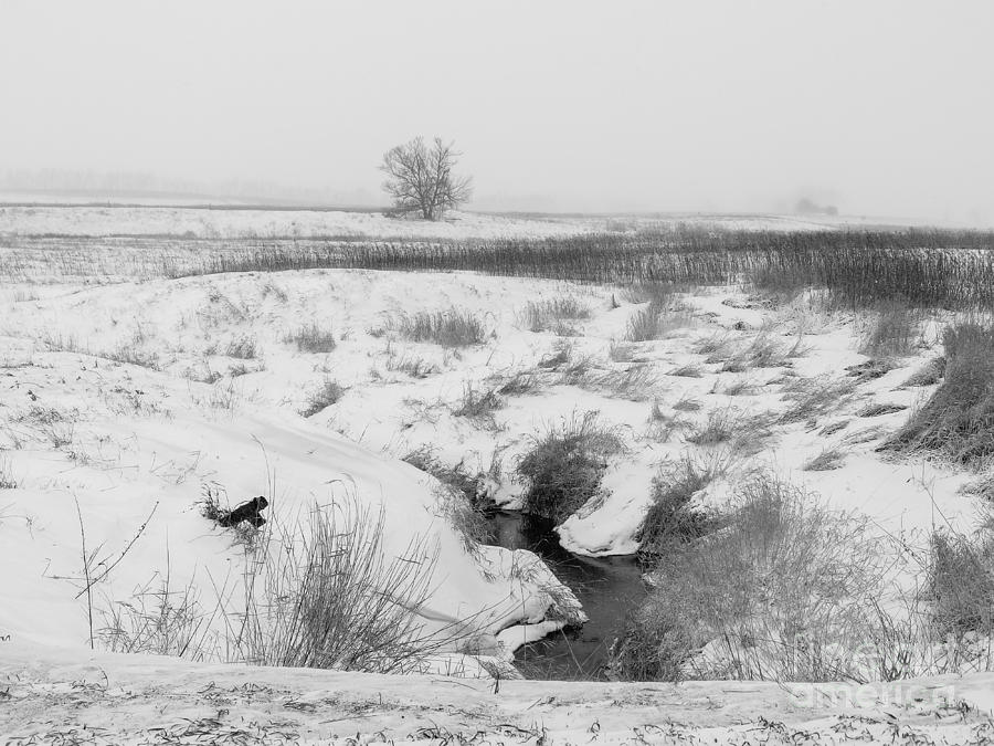 Snow Creek by Rural America Scenics Snow Creek by Rural America Scenics