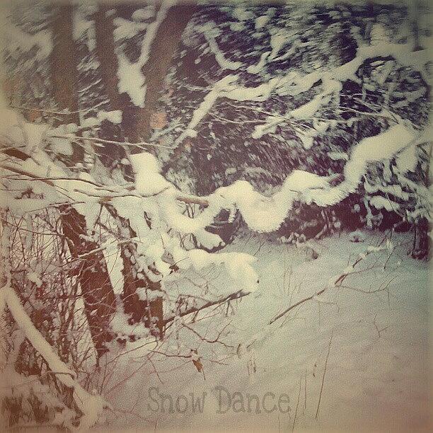 Nature Photograph - #snow Dance. .. #nature #nature_lovers by Linandara Linandara