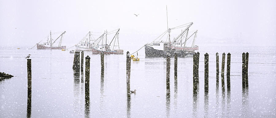 Snow Day For Fishing Photograph by Marty Saccone
