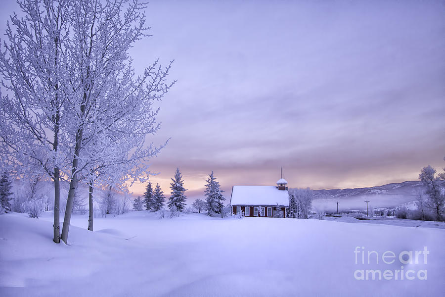 Snow Day Photograph by Kristal Kraft