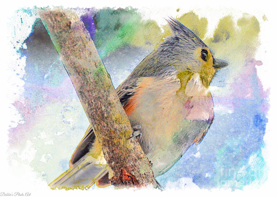 Snow Day Tufted Titmouse - Digital Paint II Photograph by Debbie Portwood