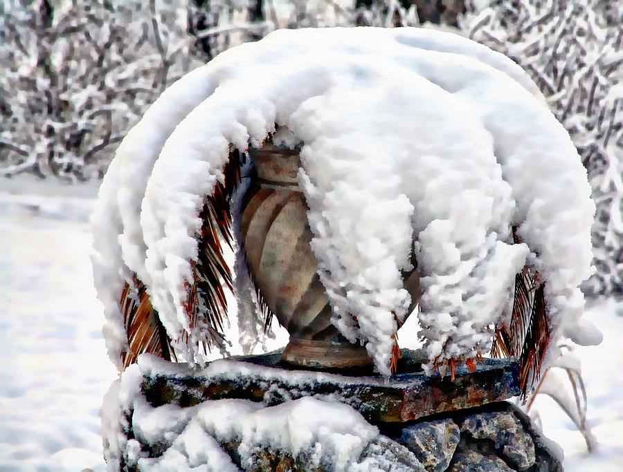 Snow Dome Digital Art by Carrie OBrien Sibley