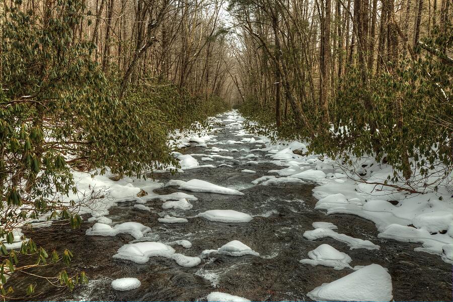 Snow Dots The Waters of the Great Smoky Mountains National Park  Photograph by Carol Montoya