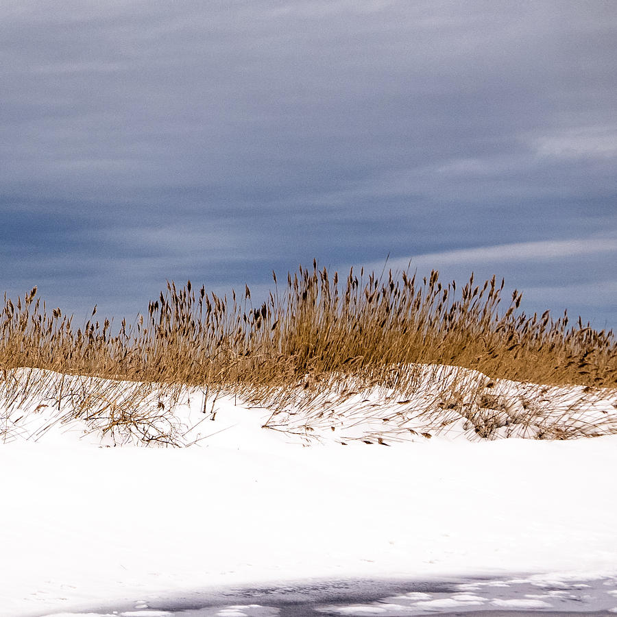 Snow Dune Photograph by Frank Winters