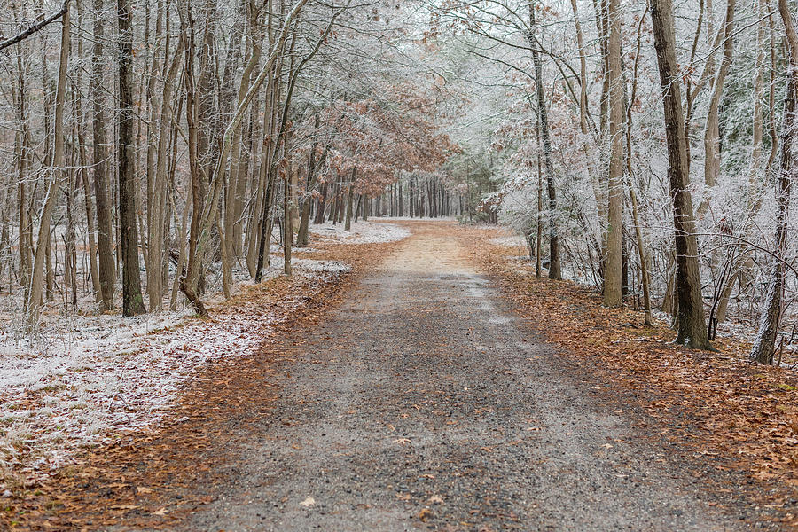 Snow Dust Path Photograph by Terry DeLuco