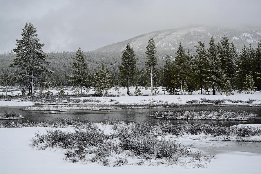 Snow-Dusted Gibbon Meadows in Yellowstone Photograph by Bruce Gourley