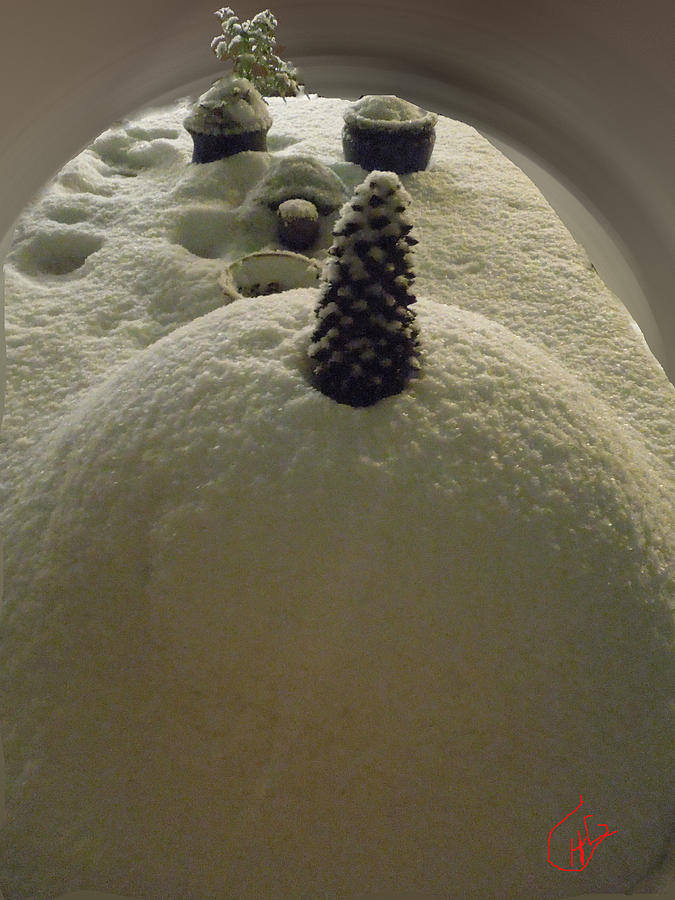 Nature Photograph - Snow Fall Serie December 2012 by Colette V Hera Guggenheim