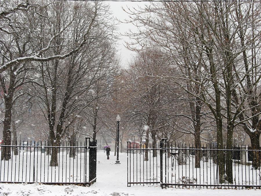 snow falling on Grange park Photograph by Alfred Ng