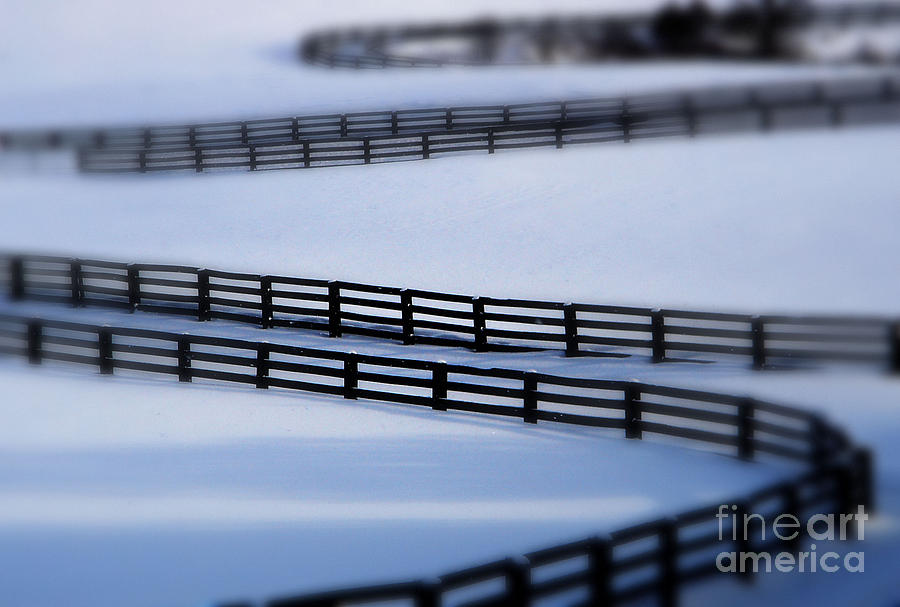 Snow Fence Photograph by Andrea Kollo