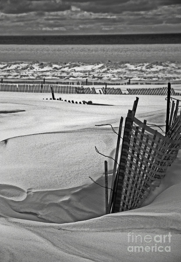 Snow Fence Photograph by Randall Cogle