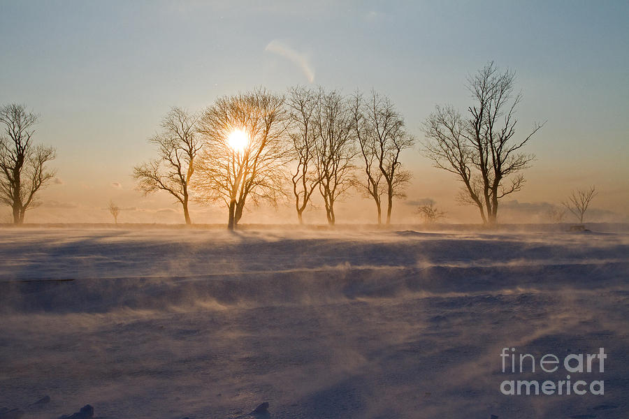 Snow Fields Photograph by Butch Lombardi