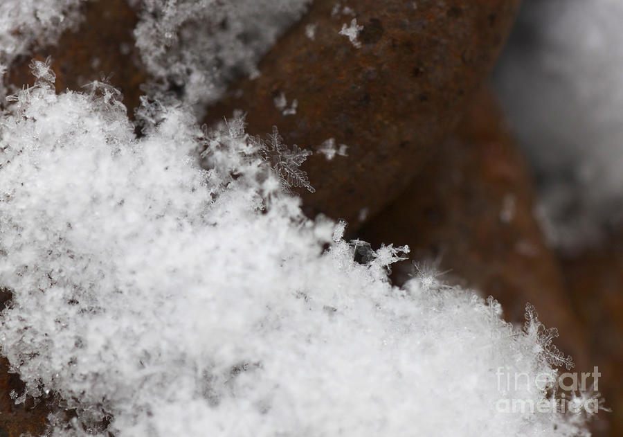 Snow Flake Photograph - Snow flake by Mike Mooney Snow Flake Photograph - Snow flake by Mike Mooney