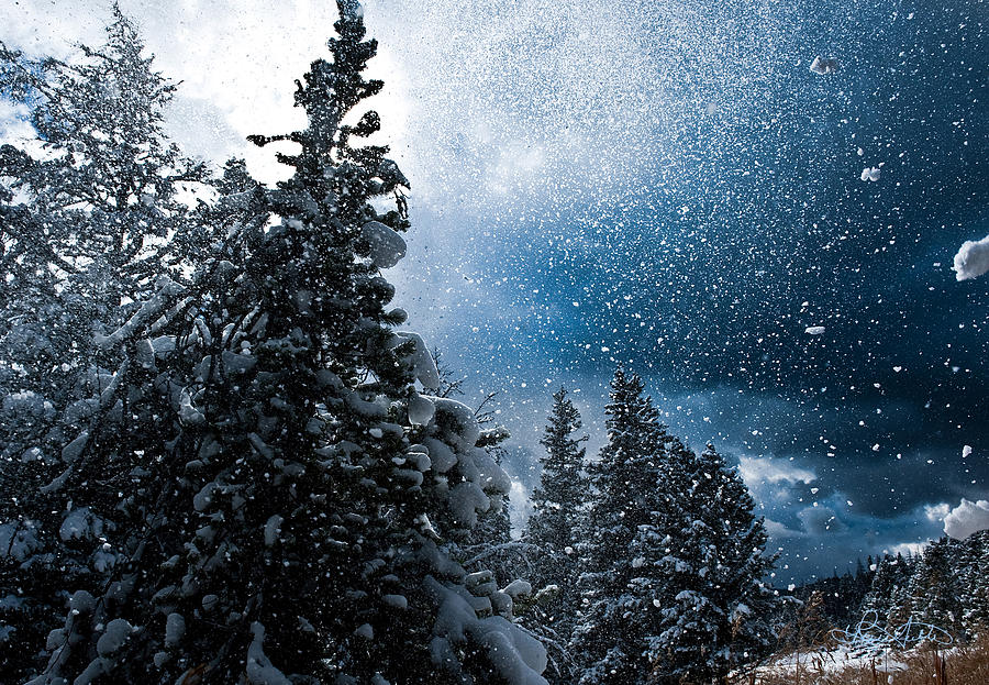Snow Flurry Photograph by Renee Sullivan