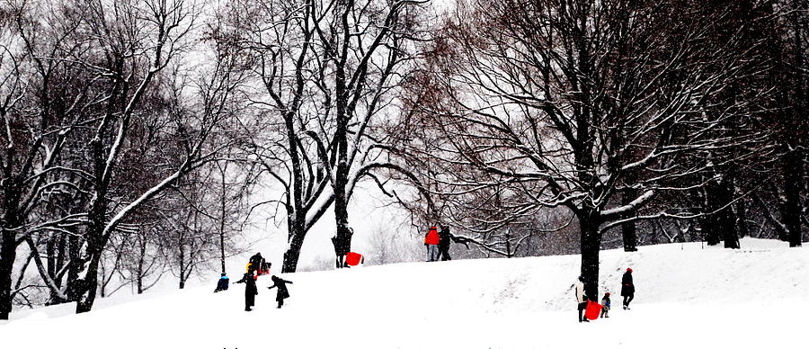 Snow Frolic Montreal Photograph by Jacqueline M Lewis