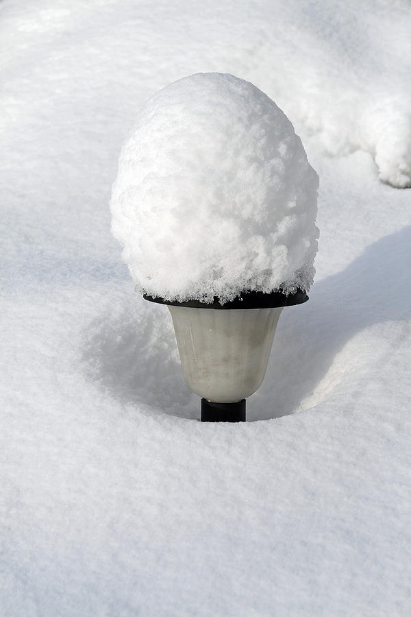 Winter Photograph - Snow Hat for Daytime by Karen Adams