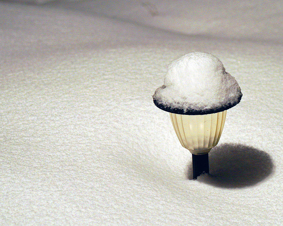 Snow Hat Photograph by Karen Adams