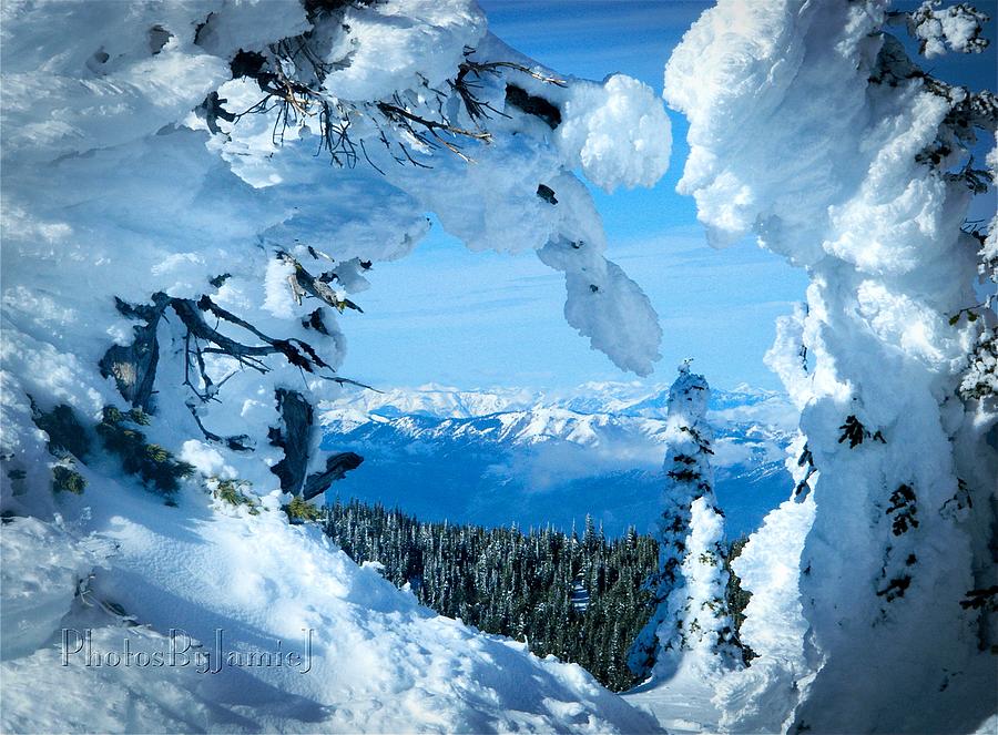 Winter Photograph - Snow Heart by Jamie Johnson
