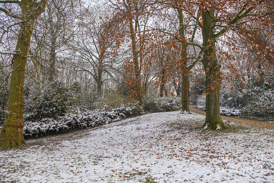 Snow in a park in the fall Photograph by Patricia Hofmeester