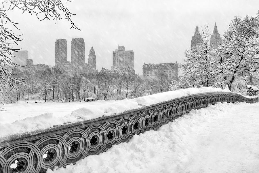 Central Park Photograph - Snow In Central Park NYC by Susan Candelario