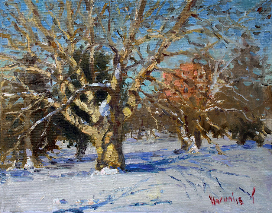 Tree Painting - Snow in Goat Island Park  by Ylli Haruni