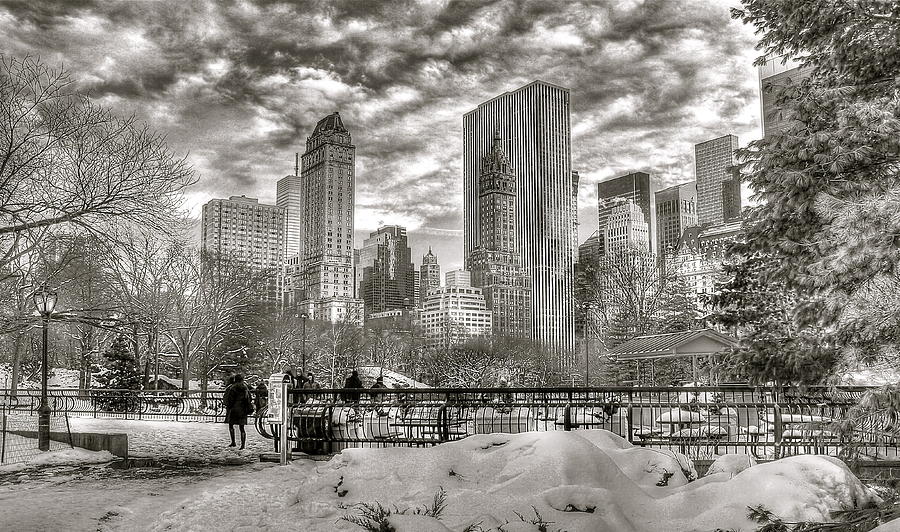 Snow in N.Y. Photograph by Albert Fadel