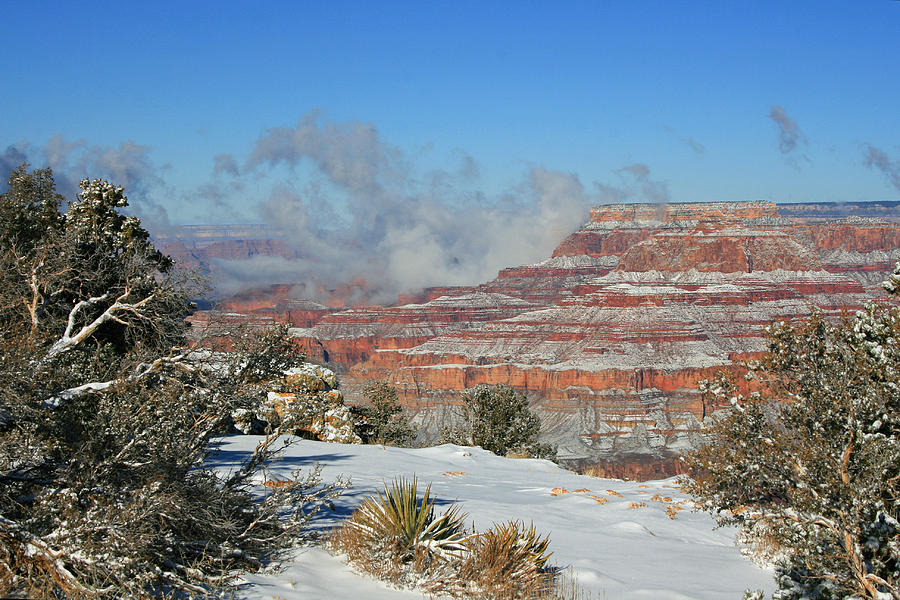 Snow In The Canyon 5  Photograph by Susan McMenamin
