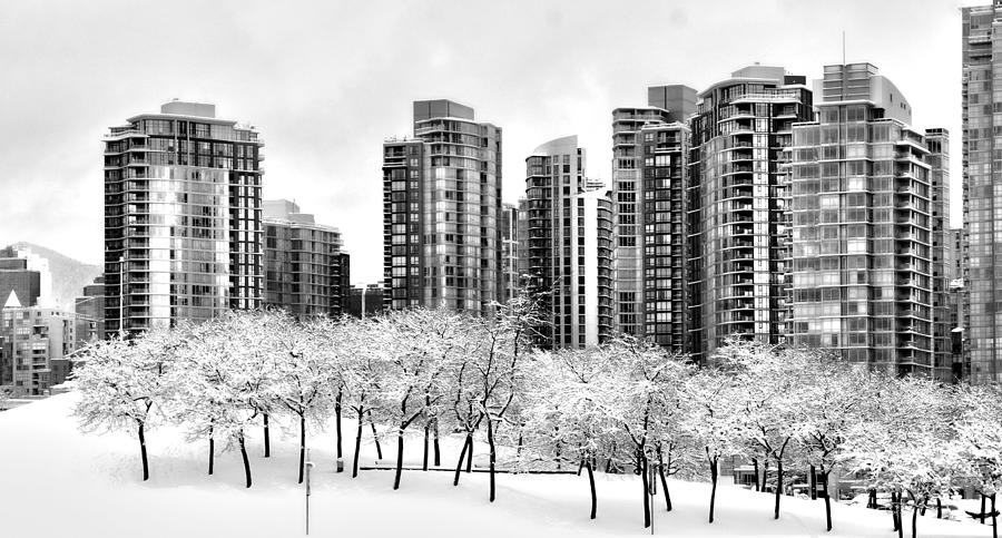 Snow in the City Photograph by Alicia Kent