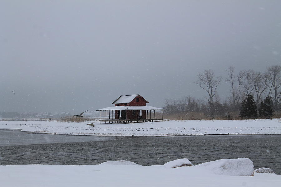 Snow Island Photograph By Catie Canetti Fine Art America