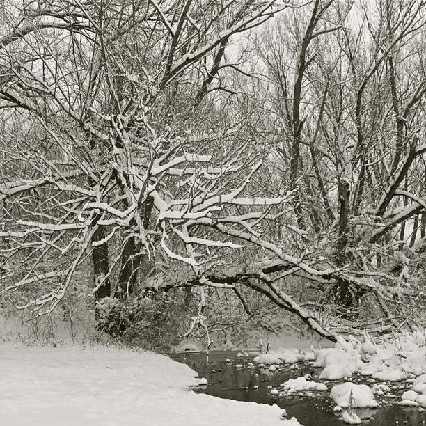 Winter Photograph - Snow   by Justin Connor