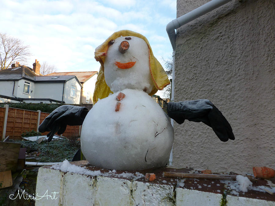 Snow Lady Photograph By Miriam Leah Herman Fine Art America 1663