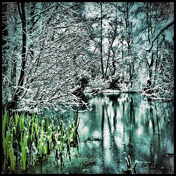 Water Photograph - #snow #lake #weather #water by Andy Mcdermott
