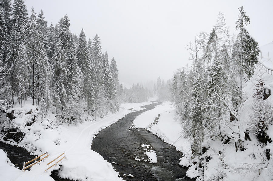 Snow Landscape - Trees and river in winter Photograph by Matthias Hauser