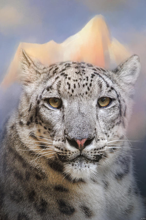 Snow Leopard At The Mountain Photograph by Jai Johnson
