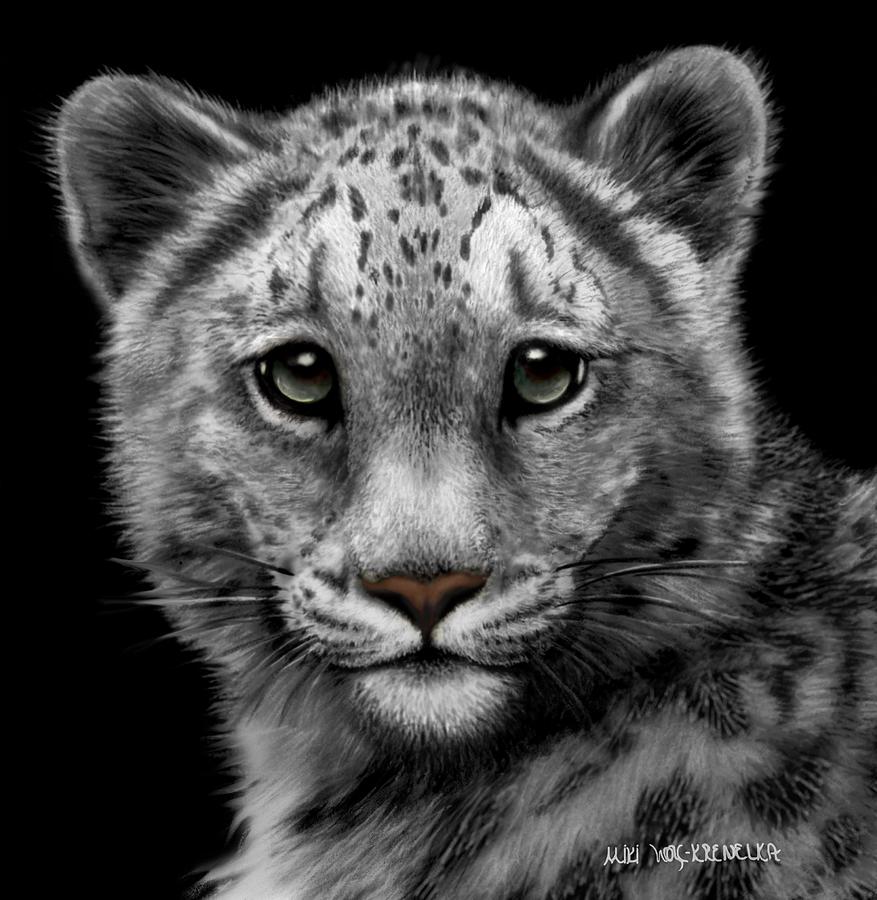 Snow Leopard Cub Drawing