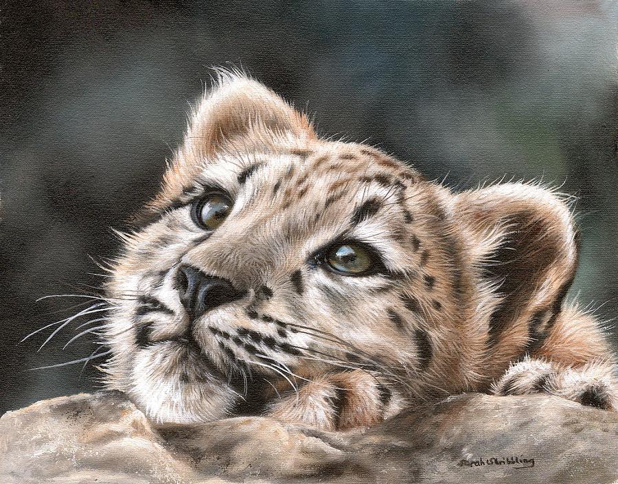 Snow leopard cub Painting by Sarah Stribbling - Fine Art America