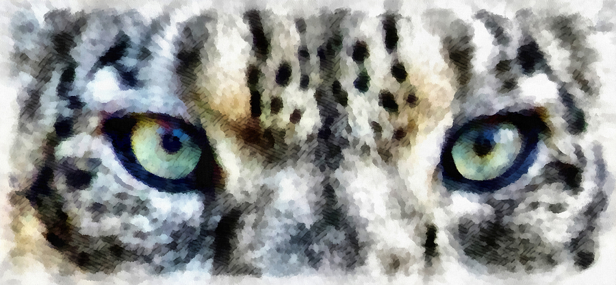 Nature Photograph - Snow Leopard Eyes by Angelina Tamez