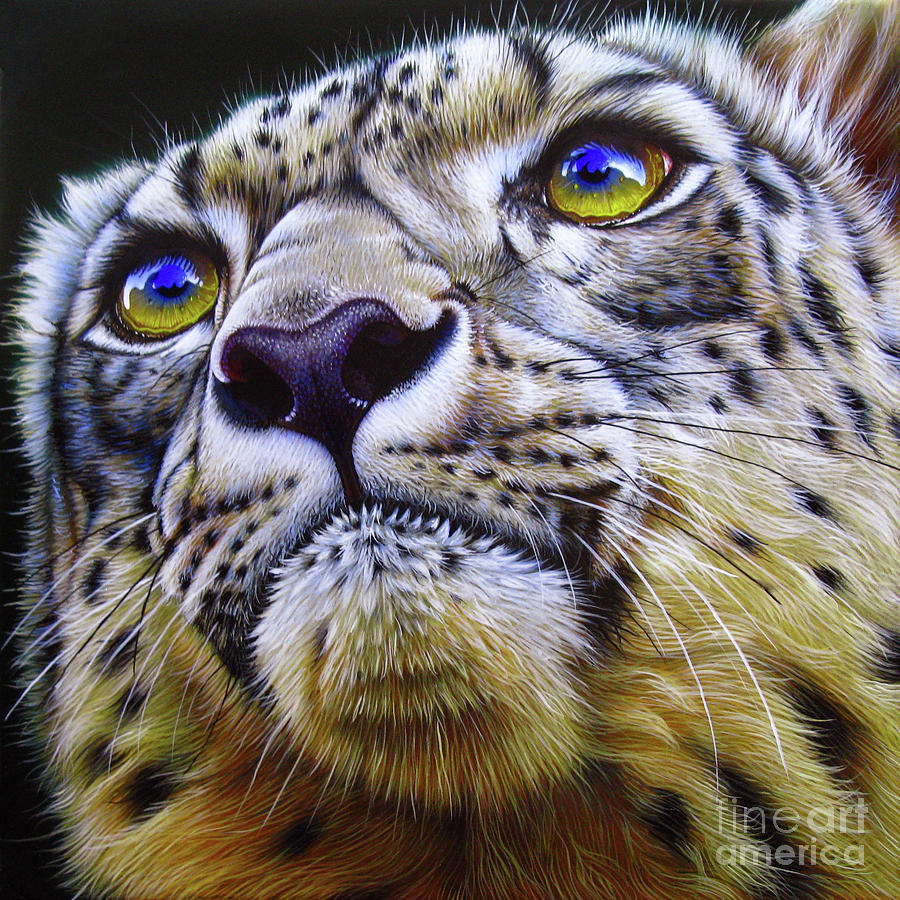 Cat Painting - Snow Leopard by Jurek Zamoyski