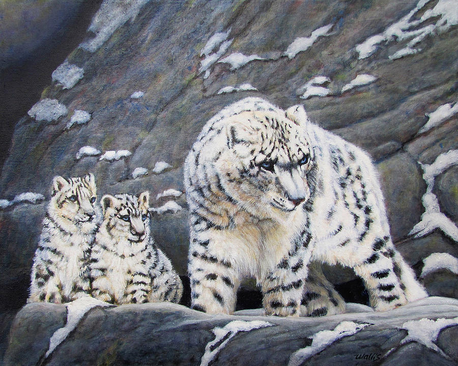 Wildlife Painting - Snow Leopard Protects Her Cubs by Charles Wallis