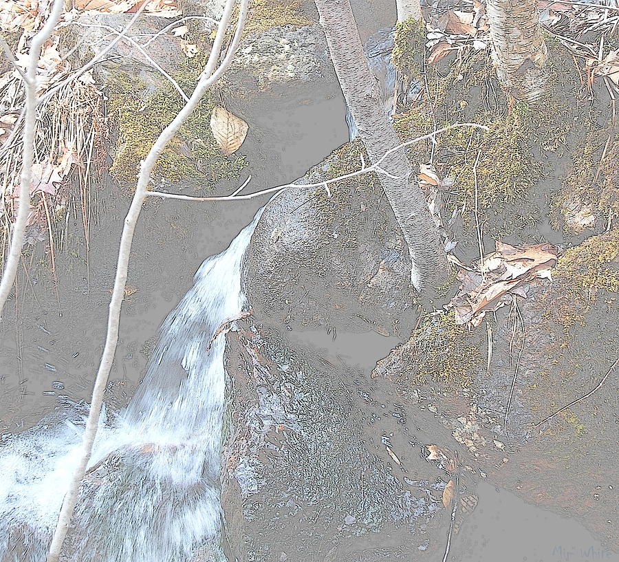 Snow Melt Micro Watershed Photograph by Mim White