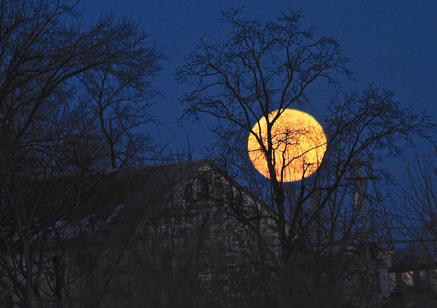 Snow Moon Photograph by Donna Quante
